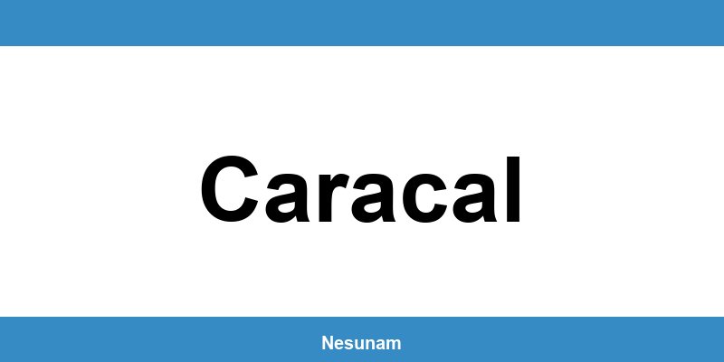 Numărul de telefon DIGI pentru Caracal