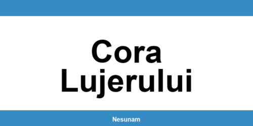 Numărul de telefon DIGI pentru Cora Lujerului