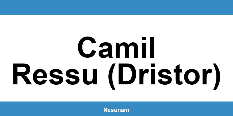 Numărul de telefon DIGI pentru Camil Ressu (Dristor)